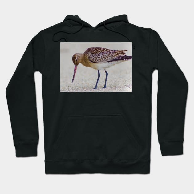 SOME BIRDS HAVE SEXY LEGS Hoodie by dumbodancer